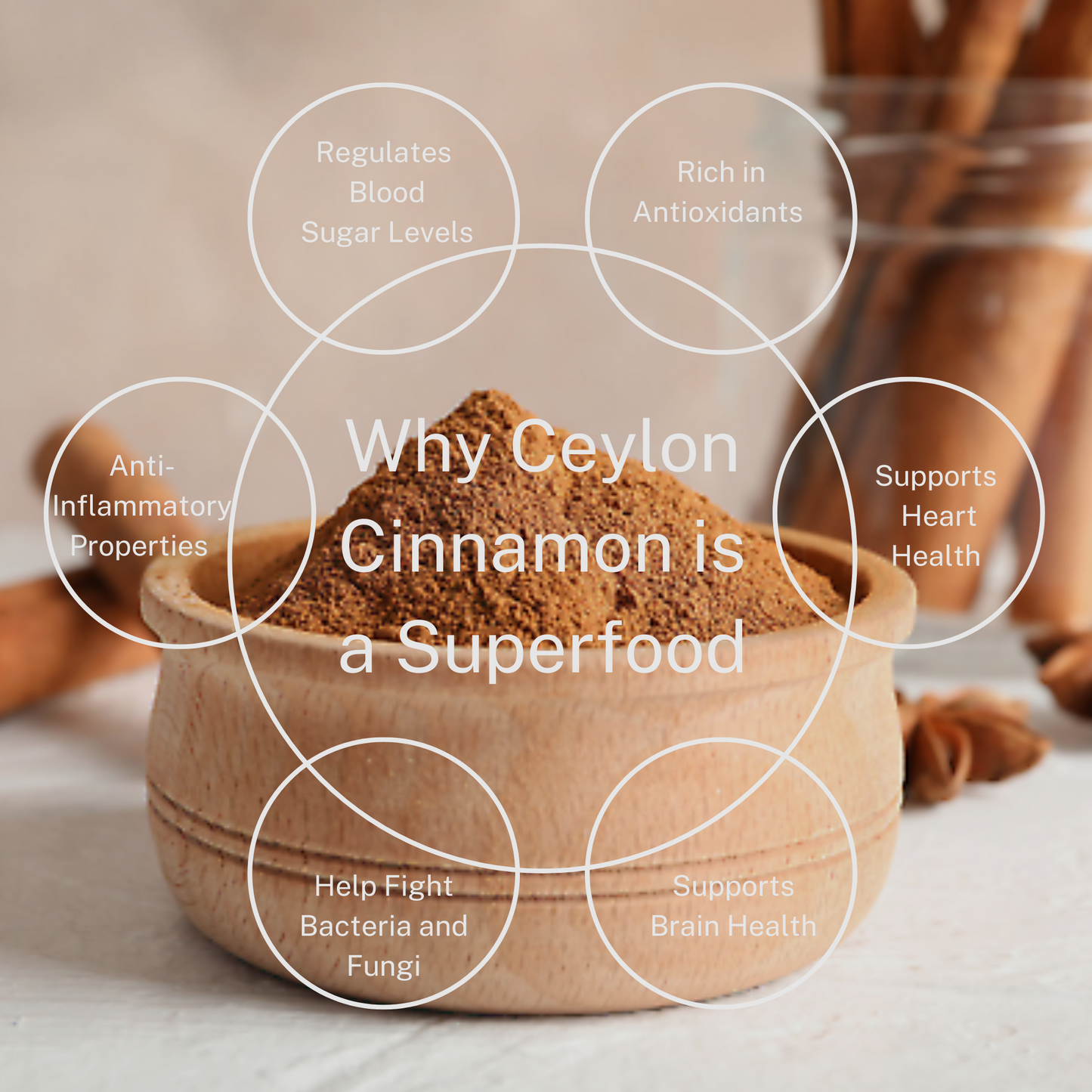 MR.MENDES Ceylon Cinnamon Powder 8.82oz